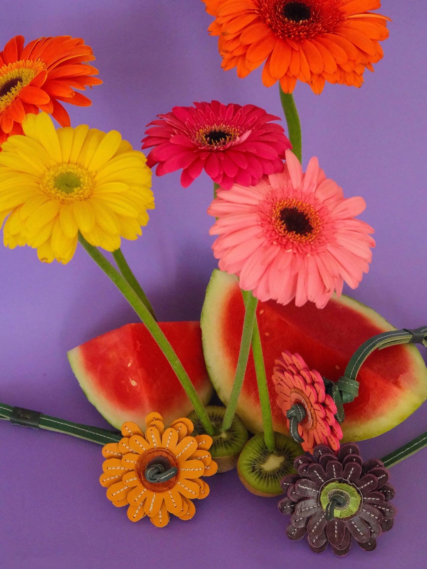 GERBERA MORADA