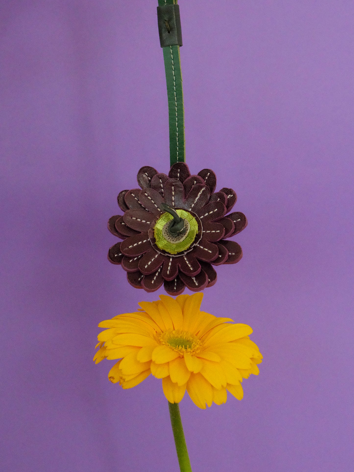 GERBERA MORADA