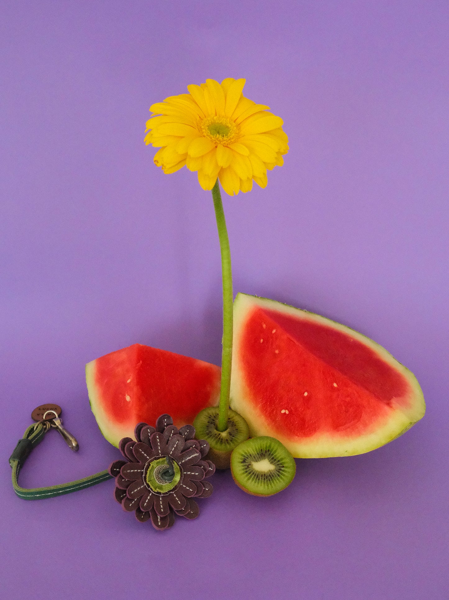 GERBERA MORADA