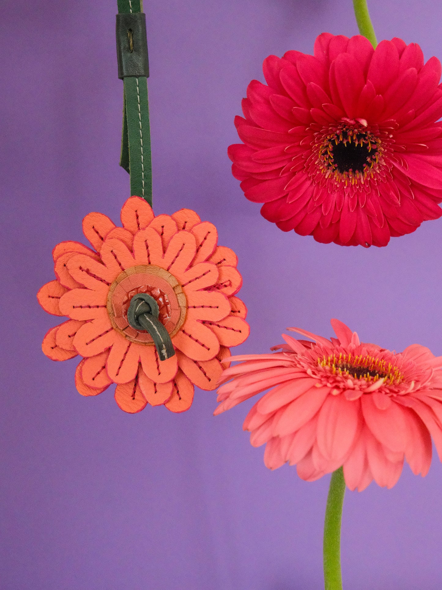 GERBERA ROSA