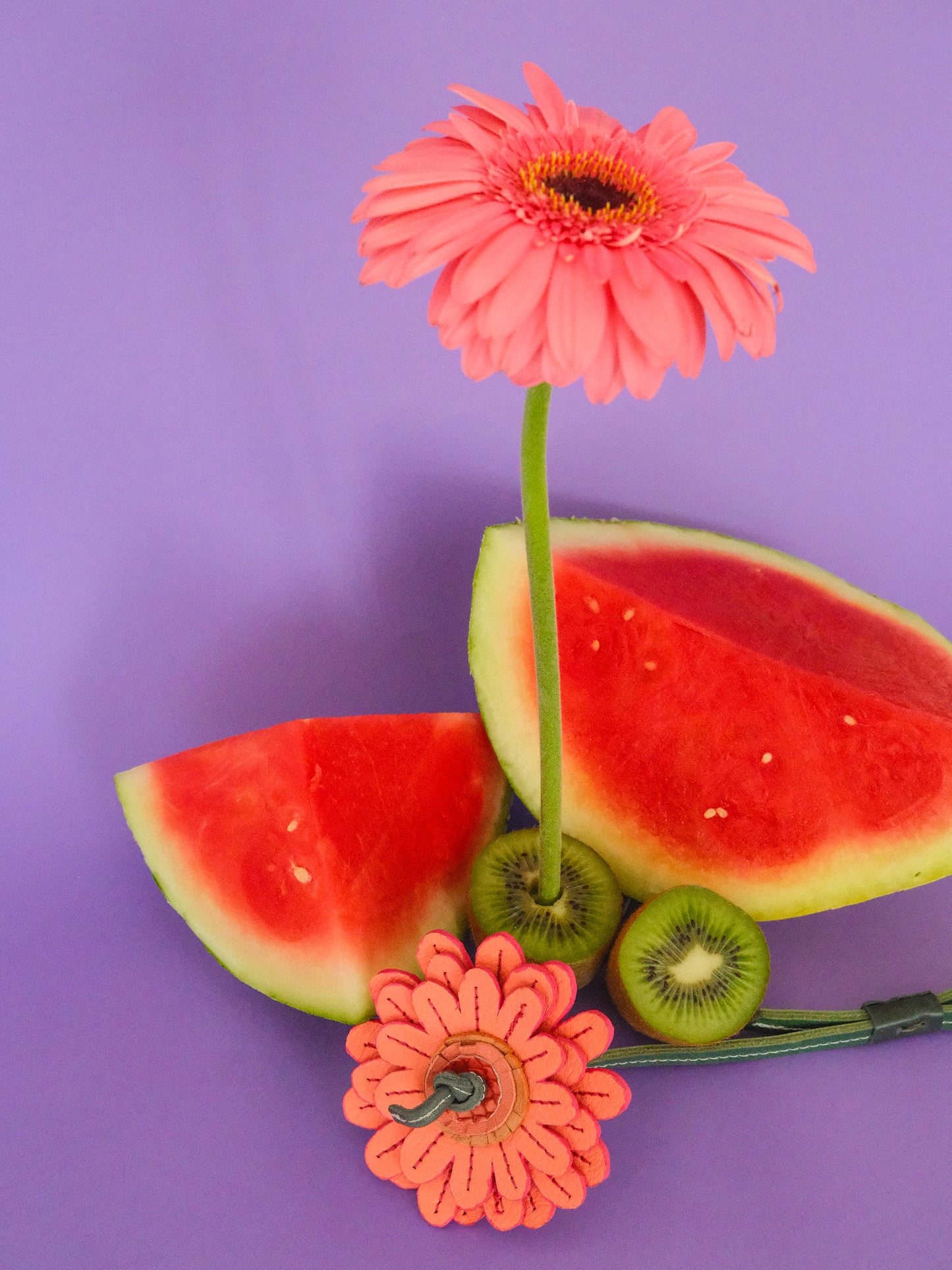 GERBERA ROSA