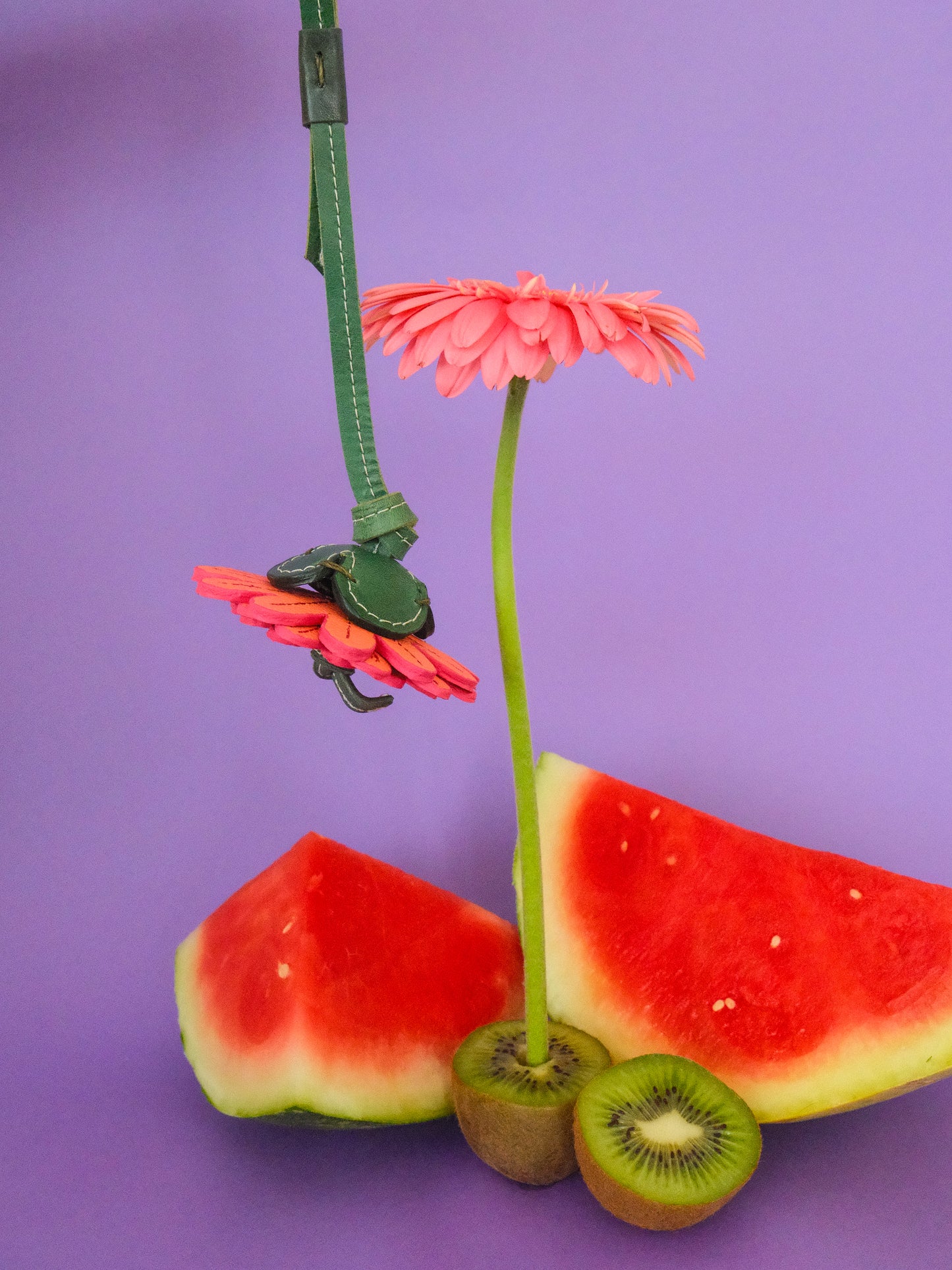 GERBERA ROSA