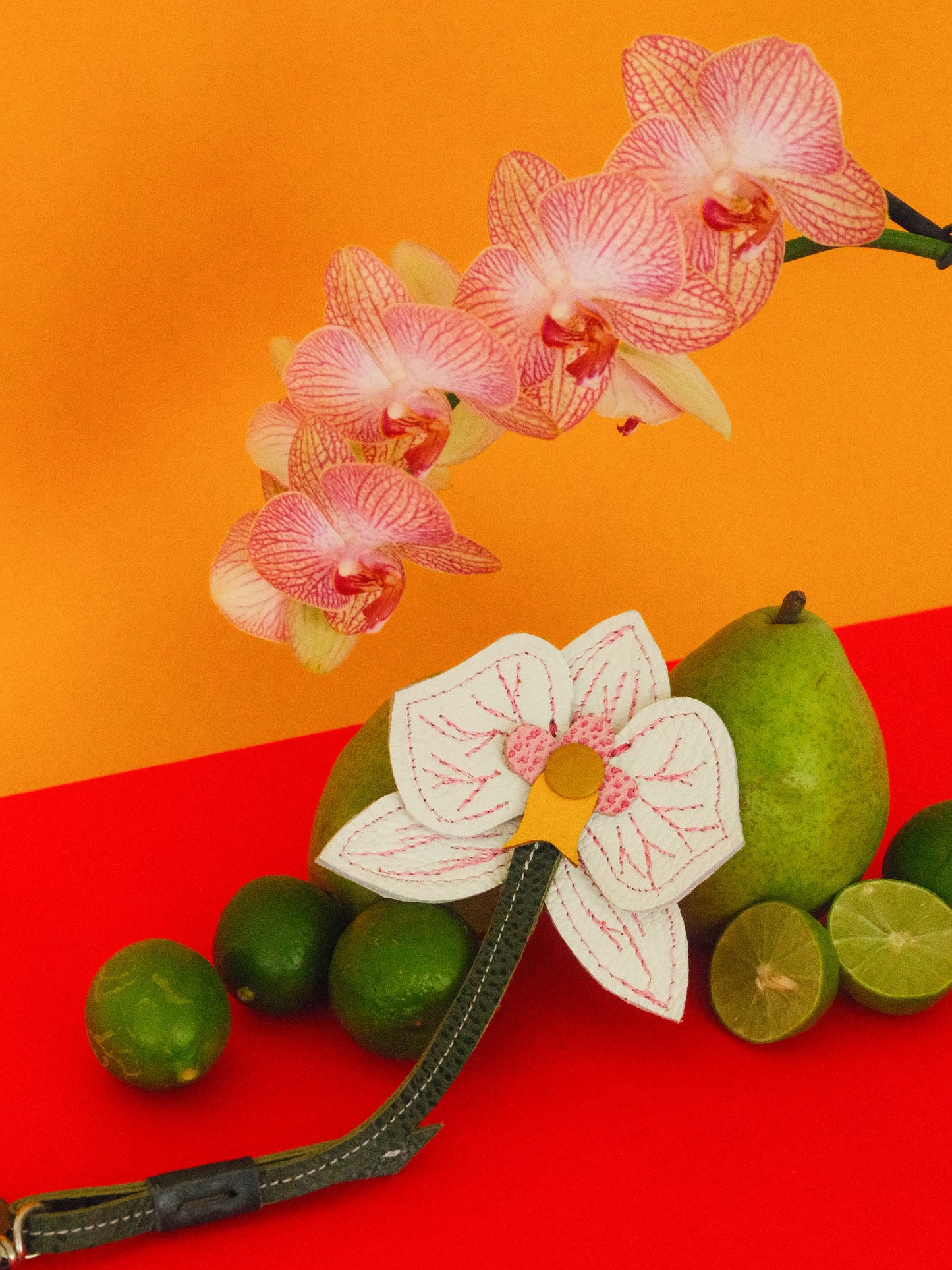 ORQUÍDEA BLANCA
