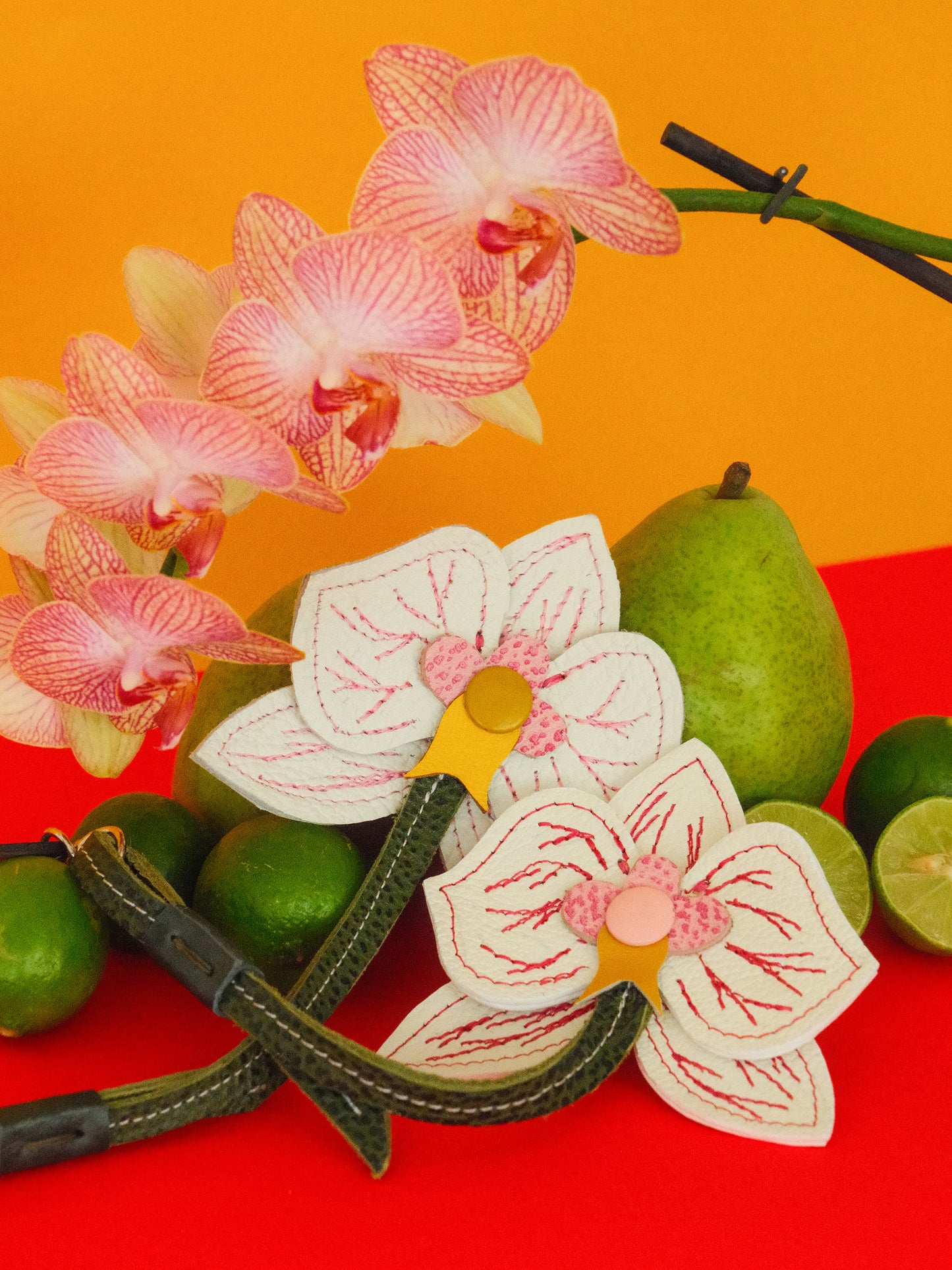 ORQUÍDEA BLANCA