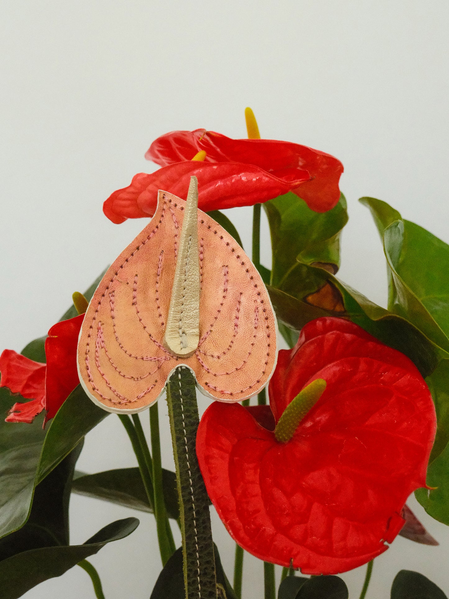 ANTURIO ROSA METÁLICO
