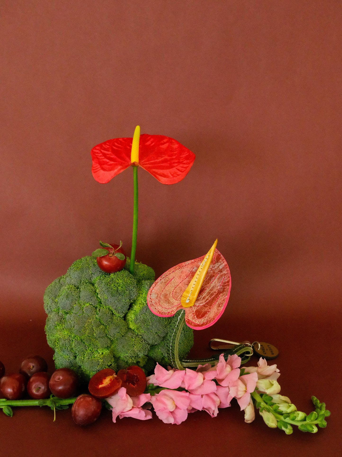 ANTURIO ROSA