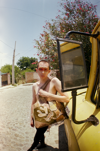 4.— LA ARAÑA