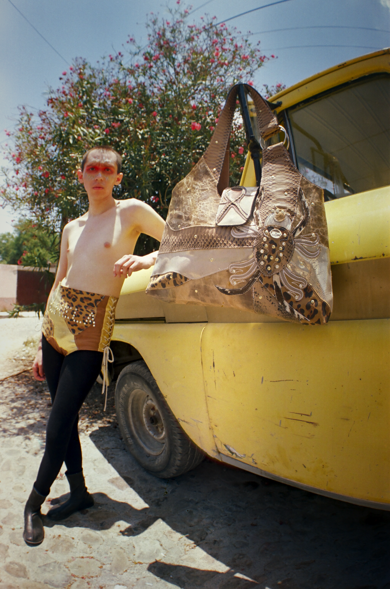 4.— LA ARAÑA
